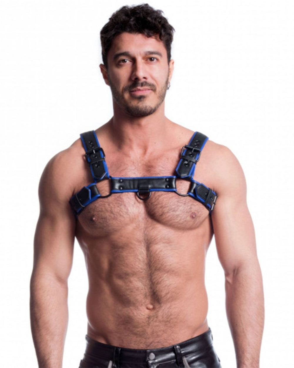 Vegan Bulldog Harness - Black and Blue