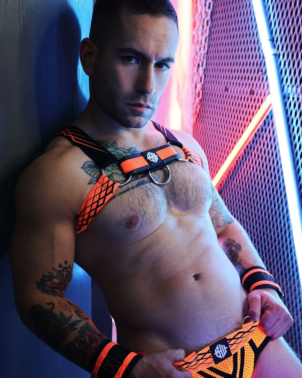 Revolution Bulldog Harness