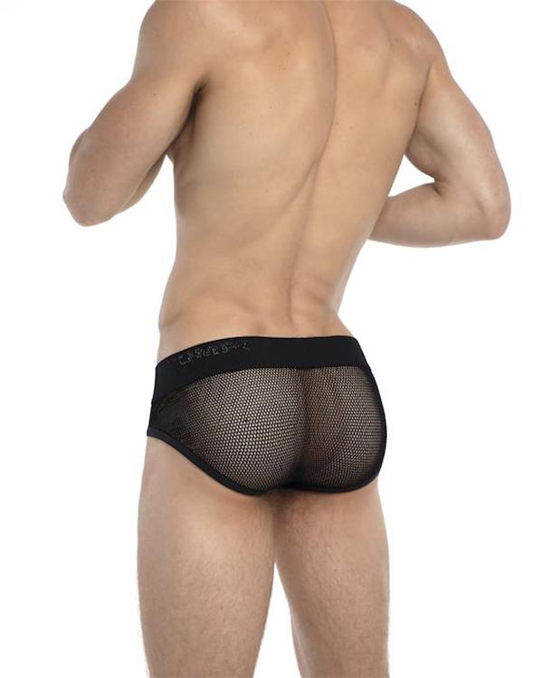 Switch Brief