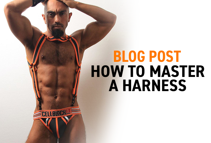 HOW TO MASTER A HARNESS