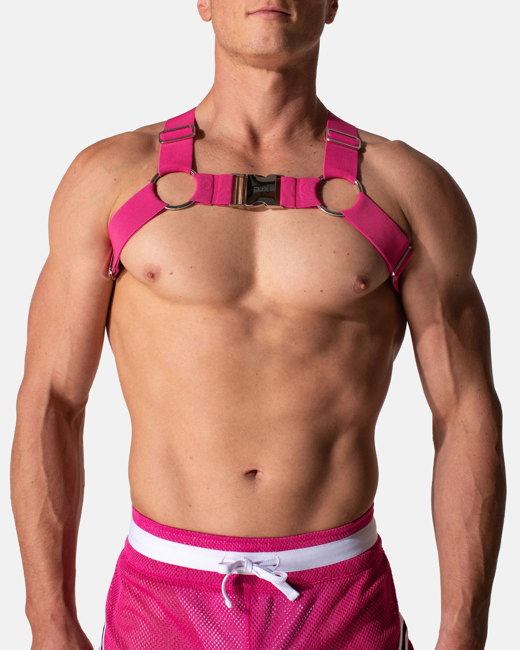 Glory Buckle Harness