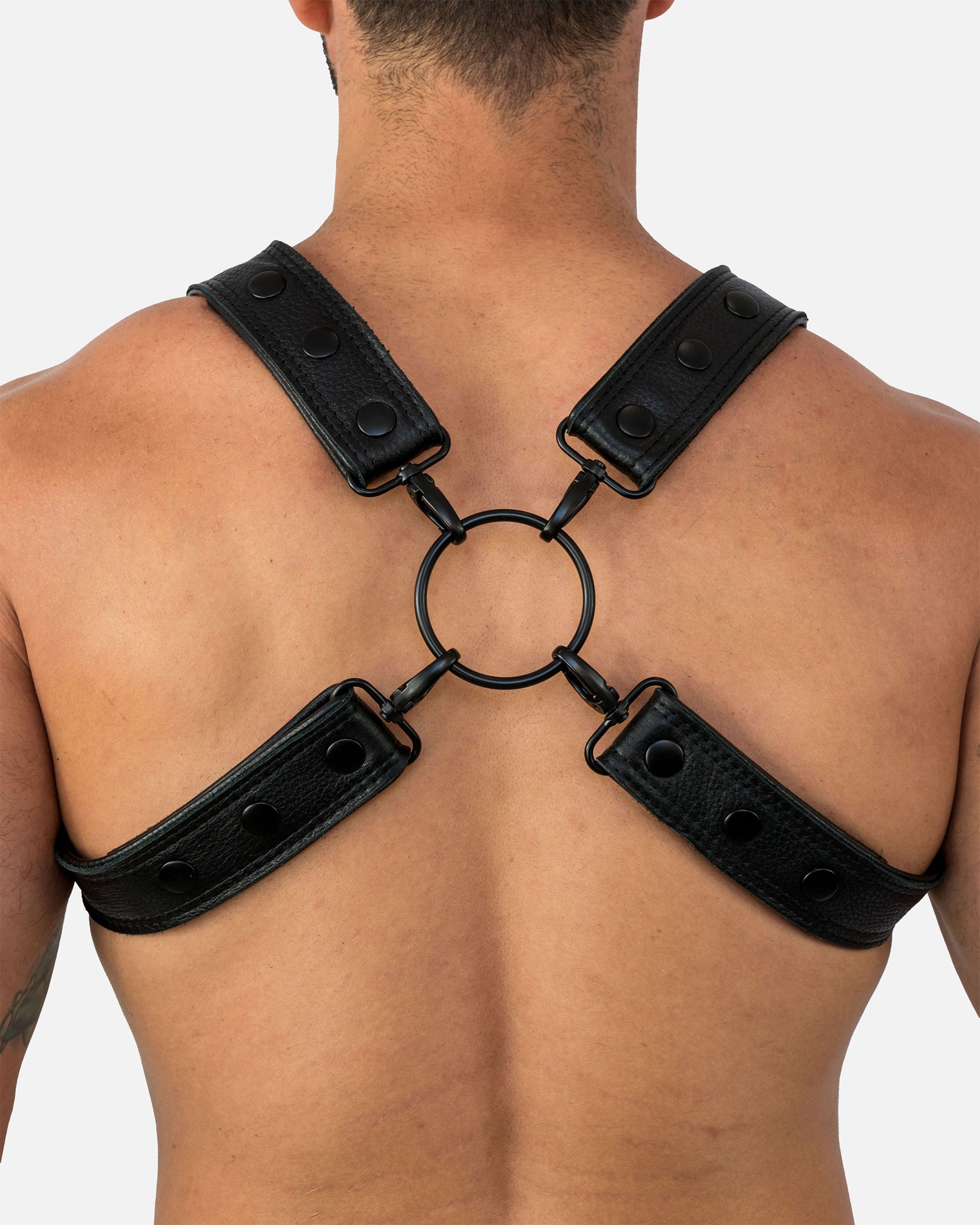 Folsom Leather Harness